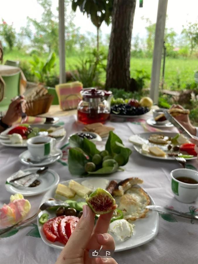 Hotel Nature Kolonje Ngoại thất bức ảnh